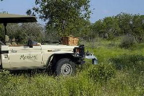 Motswiri Private Safari Lodge, Madikwe Game Reserve
