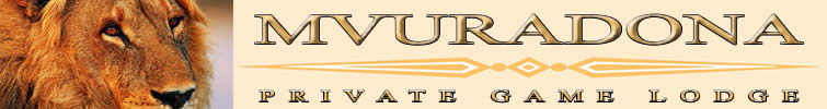 Mvuradona Private Game Lodge - a 4 star Safari Lodge at Malelane Gate, Kruger National Park, South Africa