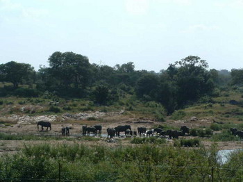 Mvuradona Safari Lodge