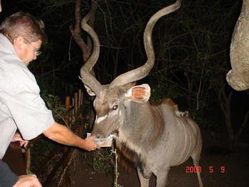 Needles Lodge, Marloth Park, Kruger National Park