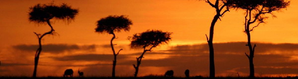 Needles Lodge, Marloth Park, Kruger National Park