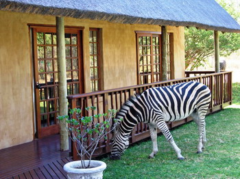 Needles Lodge, Marloth Park, Kruger National Park
