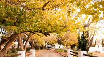 New Holme Karoo Guest Farm, near Colesberg
