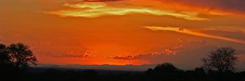Nkorho Bush Lodge - Sabi Sands Reserve near Kruger National Park, South Africa
