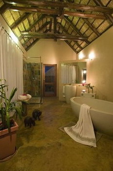 Nkorho Bush Lodge - Sabi Sands Reserve near Kruger National Park, South Africa