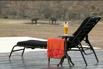 Nkorho Bush Lodge - Sabi Sands Reserve near Kruger National Park, South Africa