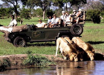 Nkorho Bush Lodge - Sabi Sands Reserve near Kruger National Park, South Africa