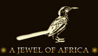 Nkorho Bush Lodge - Sabi Sands Reserve near Kruger National Park, South Africa