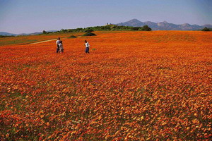 Northern Cape Province, South Africa