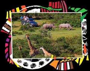 Nyaru Game Lodge