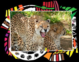 Nyaru Game Lodge
