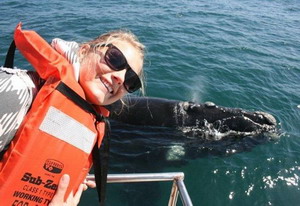 Ocean safari in Plettenberg Bay