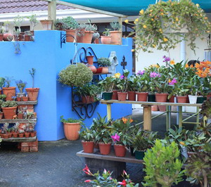 Outeniqua Travel Lodge