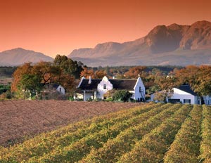 Paarl, Cape Winelands, South Africa