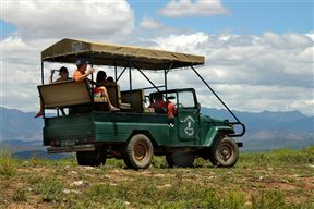 Pat Busch Mountain Reserve
