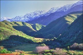 Pat Busch Mountain Reserve