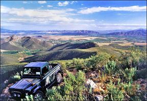 Pat Busch Mountain Reserve