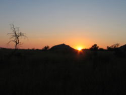 Pilanesberg National Park, South Africa