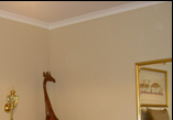 Point B Guest House, Green Point, Cape Town, South Africa