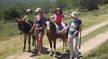 Pure Nature Familodge, Addo