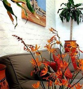 Puza Moya Guest House