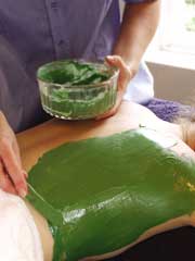 The Spa