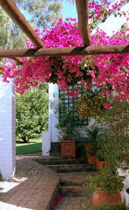 Rivonia Bed and Breakfast, Sandton, Gauteng, South Africa