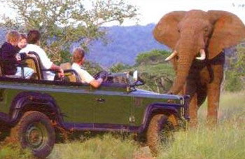 Sand Forest Lodge, Hluhluwe