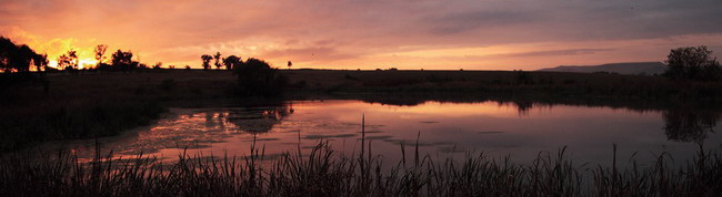 Sandford Park country Hotel, Drakensberg