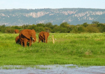 Shayamoya Tiger Fishing and Game Lodge in Hluhluwe