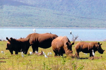 Shayamoya Tiger Fishing and Game Lodge in Hluhluwe