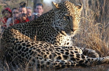 Shumbalala Game Lodge
