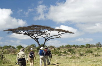Shumbalala Game Lodge