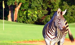 Shumbalala Game Lodge