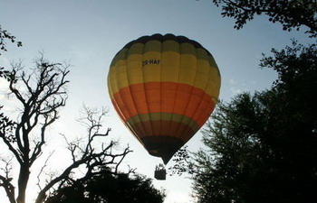 Shumbalala Game Lodge