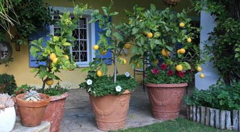Somerset Stables, Graaff-Reinet