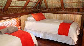 Sperrgebiet Lodge, Springbok