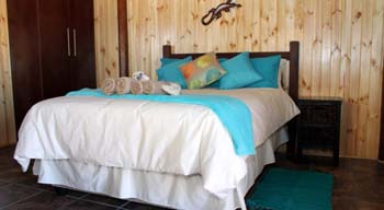 Sperrgebiet Lodge, Springbok