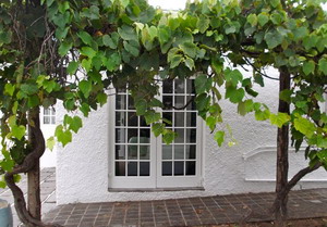 Splash Guesthouse