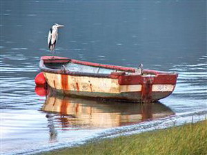 St James of Knysna