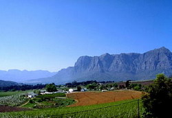Stellenbosch in the Cape Winelands of South Africa