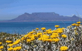 Bloubergstrand Sunset Lodge