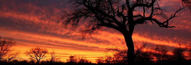 Tanda Tula Safari Camp