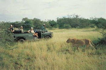 Tanda Tula Safari Camp