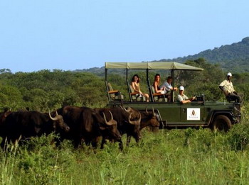 Thanda Private Game Reserve