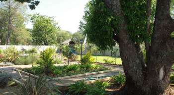 Ardmore Guest Farm Bergville