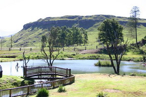 The Old Hatchery