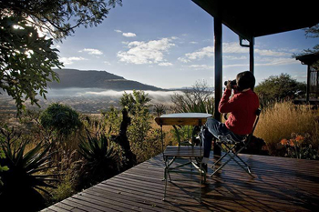 Three Trees At Spioenkop, Bergville