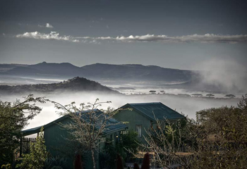 Three Trees At Spioenkop, Bergville