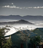 Three Trees At Spioenkop